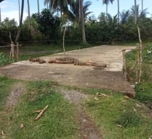 Diduga Tak Miliki Surat Hibah, Pembangunan Rabat Beton Dana Desa Sukarami Disegel Warga